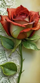 Elegant rose with lace on mobile wallpaper.