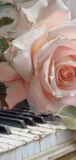 Delicate pink rose rests on piano keys.