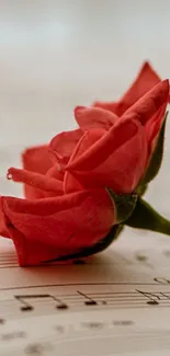 Red rose laying on sheet music, creating a romantic ambiance.