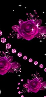 Pink roses on black background wallpaper.