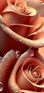 Elegant pink roses with dewdrops mobile wallpaper.