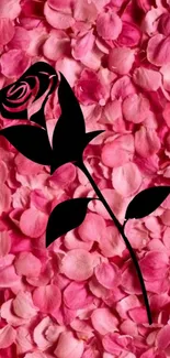 Black rose silhouette on pink petals background wallpaper.