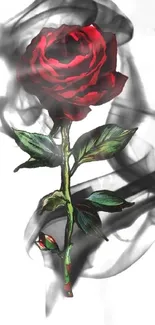 Elegant red rose with smoky background design for mobile wallpaper.