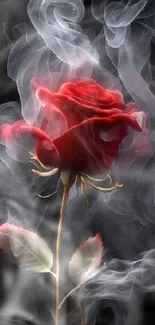 Red rose with swirling gray smoke on black background.