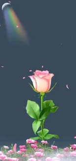 Pink rose under a starry sky with rainbow moon.