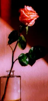 A single pink rose in a glass vase with a soft pink background.