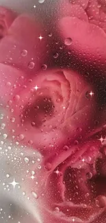 Pink roses with water droplets on a mobile wallpaper.