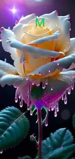 Elegant rose with dewdrops in vibrant colors, perfect for mobile wallpaper.