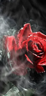 Red rose enveloped in smoke on dark background.