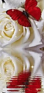 Elegant white roses with red butterfly reflection.