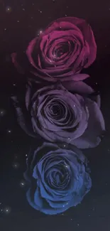 Elegant roses with dark hues in shades of blue and purple as a mobile wallpaper.