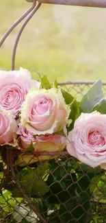 Soft pink roses in a rustic basket, perfect for a mobile wallpaper.