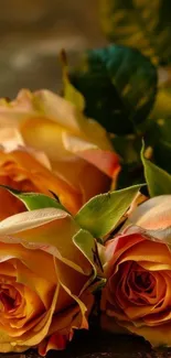Elegant mobile wallpaper featuring peach roses and green leaves.