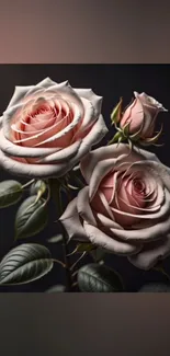 Elegant pink roses on a dark background, perfect for mobile wallpapers.