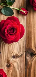 Red roses elegantly placed on a wooden surface.