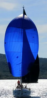 A sailboat on shimmering water with a vibrant blue sail against a clear sky.