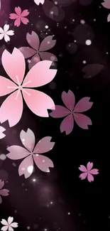 Sakura blossoms on a dark background with pink and purple hues.