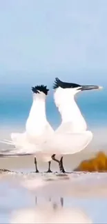 Seabirds standing by the ocean shore, reflecting tranquility.