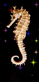 Detailed seahorse on black mobile wallpaper.