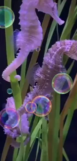 Pink seahorses with bubbles in a vibrant aquatic setting.