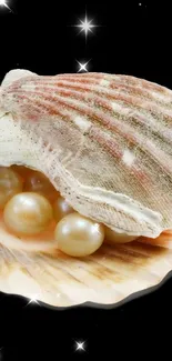 Seashell with pearls on a starry black background.