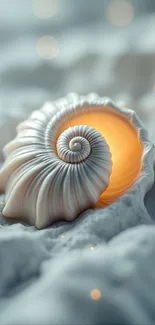 Glow emanates from a seashell on a sandy surface.