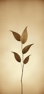 Minimalist sepia-toned leaf against a soft background.