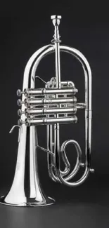 Silver brass instrument on a black background, perfect for elegant mobile wallpaper.