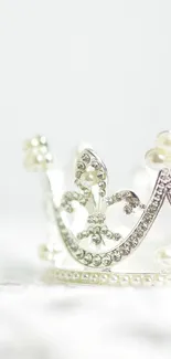 Elegant silver crown with jewels and pearls on a white background.