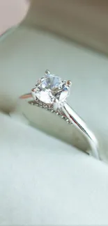 Close-up of an elegant silver diamond ring in a jewelry box.