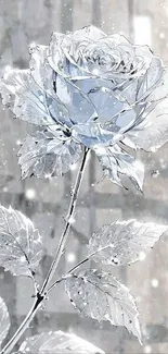A detailed silver rose with frosty effects on a subtle background.