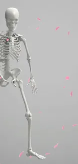 Elegant skeleton against gray background with pink accents.