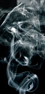 Elegant smoke art on a dark background, creating swirls and patterns.