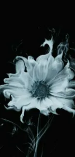 Black and white smoky flower wallpaper on a dark background.