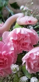 Pale pink snake entwined with pink roses on a mobile wallpaper.