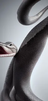 Stylish mobile wallpaper featuring a detailed snake on a sleek grey background.