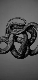 Elegant black snake intertwined on a dark background.