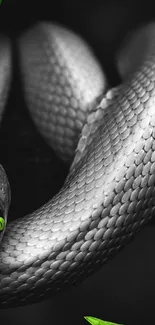 Gray-scaled snake with green eyes in a stylish monochrome design.