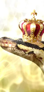 Wallpaper of a snake wearing a royal crown in a natural setting.