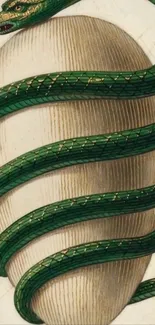 Green snake elegantly wraps around an egg in artistic wallpaper.