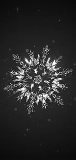 Elegant silver snowflake on a dark background.