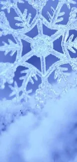 A close-up image of a delicate snowflake on a light blue background.