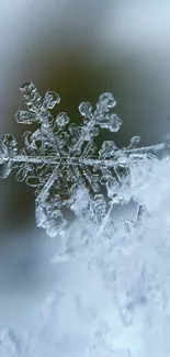 Close-up of a snowflake on a soft blue background.