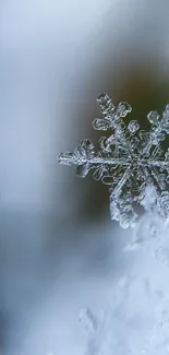 Close-up image of a delicate snowflake in light blue tones for a winter wallpaper.