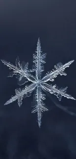 Detailed snowflake against a dark blue background.