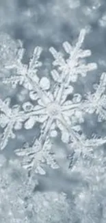 Elegant snowflake design on a frosty background.