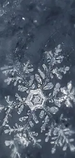 Close-up of a beautiful snowflake on a dark blue background.