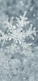 Close-up of an intricate snowflake on a soft, icy blue-gray background.