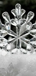 Intricate snowflakes on a snowy background, capturing winter's elegance.