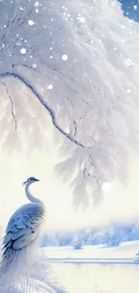 Elegant white peacock under snowy tree by a serene winter lake.